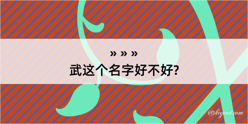 武这个名字好不好?