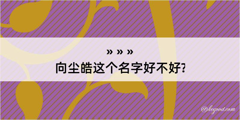 向尘皓这个名字好不好?