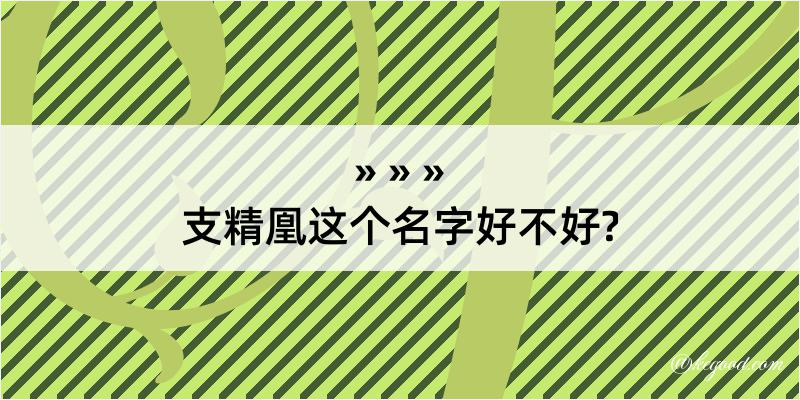 支精凰这个名字好不好?