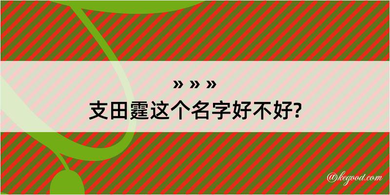 支田霆这个名字好不好?