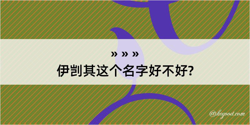 伊剀其这个名字好不好?