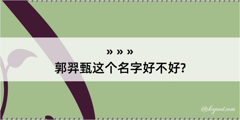 郭羿甄这个名字好不好?