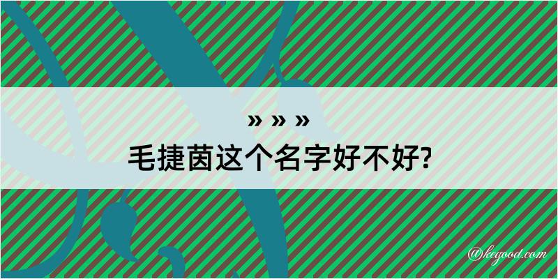 毛捷茵这个名字好不好?