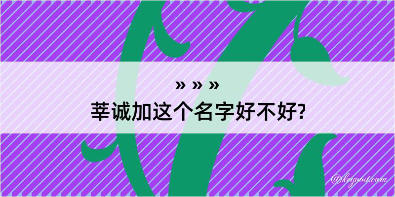 莘诚加这个名字好不好?