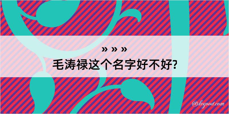 毛涛禄这个名字好不好?