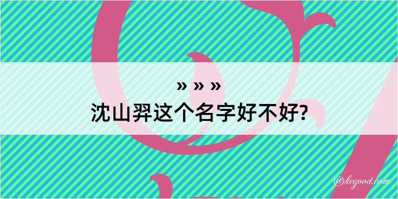 沈山羿这个名字好不好?