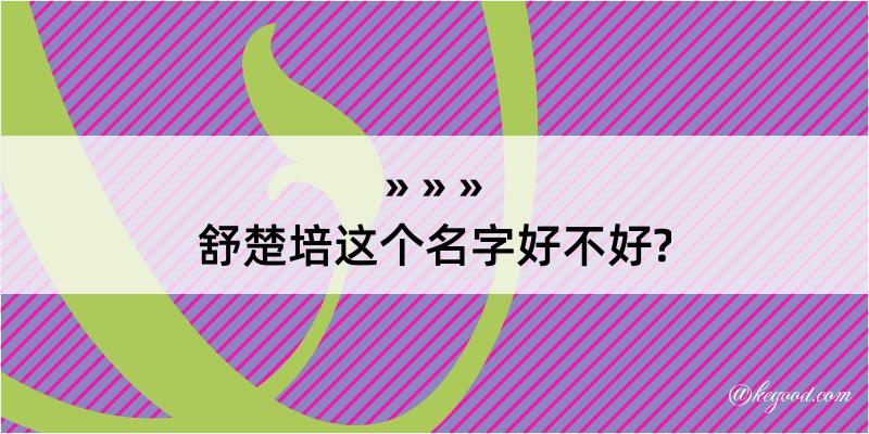 舒楚培这个名字好不好?