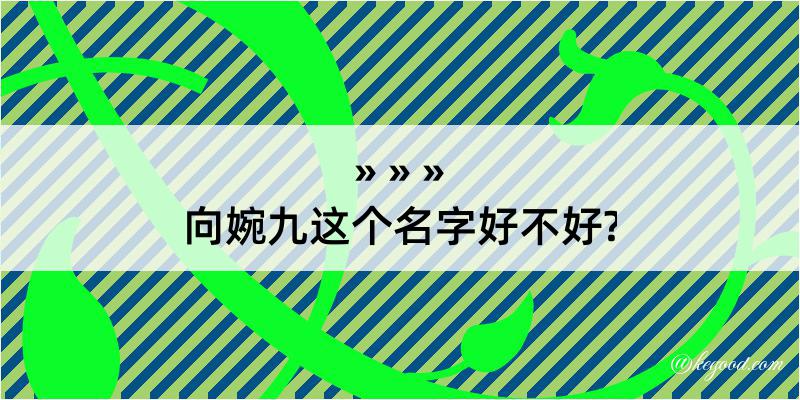 向婉九这个名字好不好?