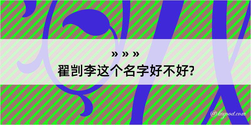 翟剀李这个名字好不好?