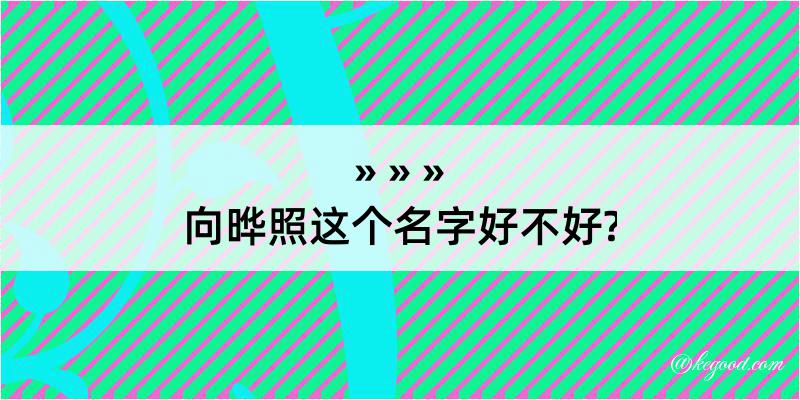 向晔照这个名字好不好?