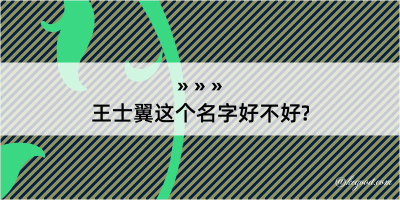 王士翼这个名字好不好?