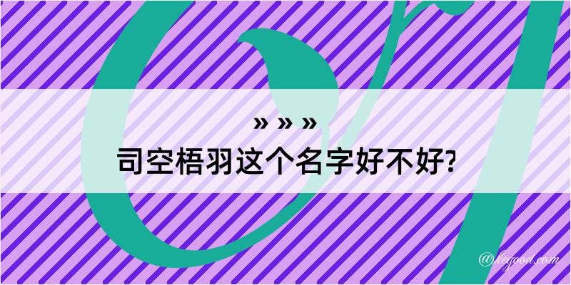 司空梧羽这个名字好不好?