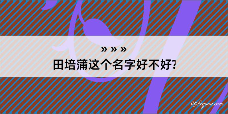 田培蒲这个名字好不好?