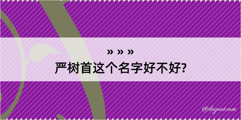 严树首这个名字好不好?