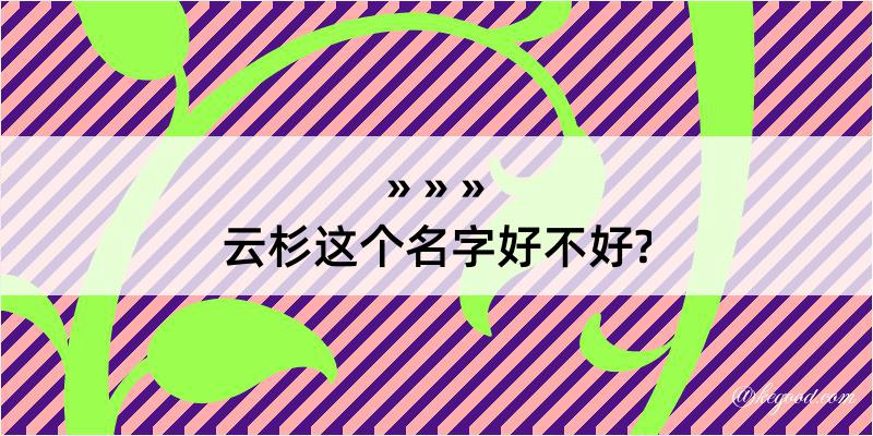 云杉这个名字好不好?