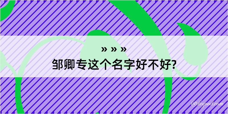 邹卿专这个名字好不好?