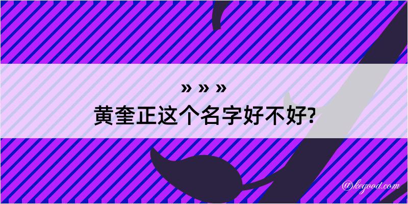 黄奎正这个名字好不好?