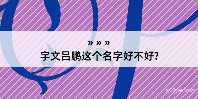 宇文吕鹏这个名字好不好?