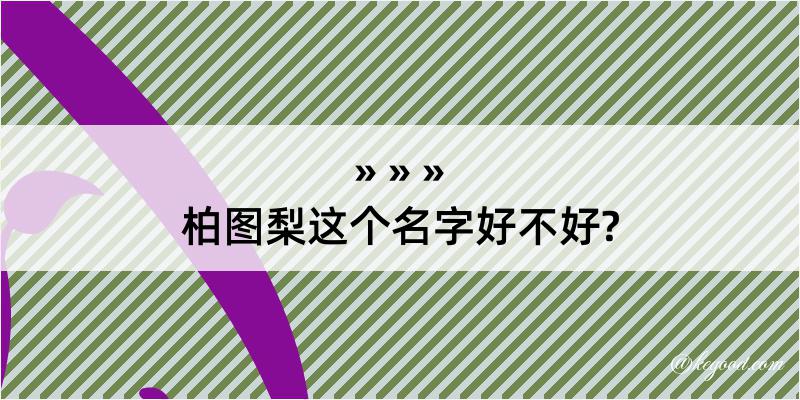 柏图梨这个名字好不好?