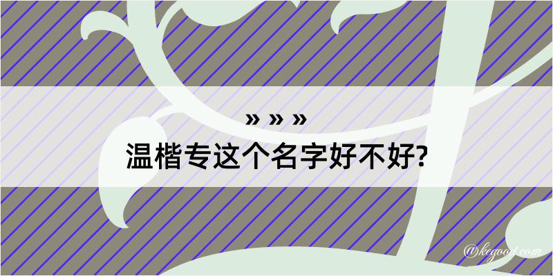 温楷专这个名字好不好?