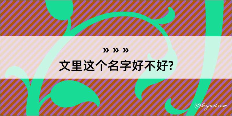 文里这个名字好不好?