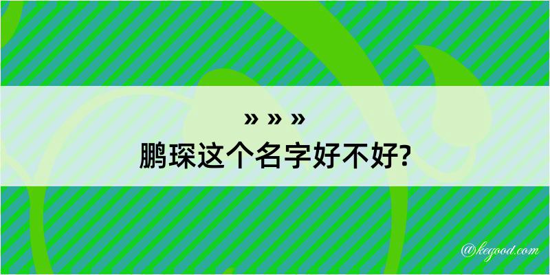 鹏琛这个名字好不好?