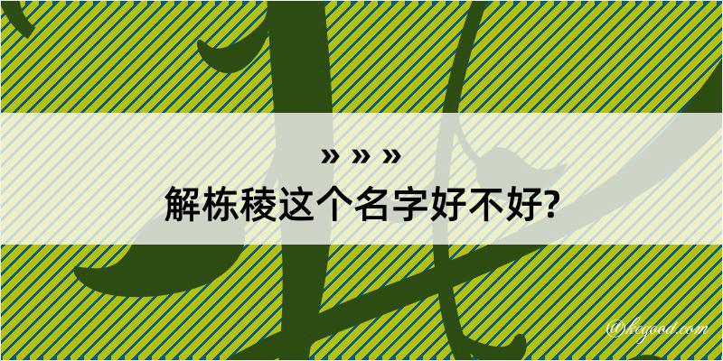 解栋稜这个名字好不好?