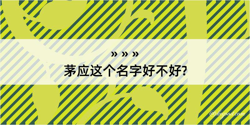 茅应这个名字好不好?