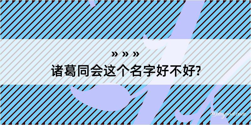 诸葛同会这个名字好不好?