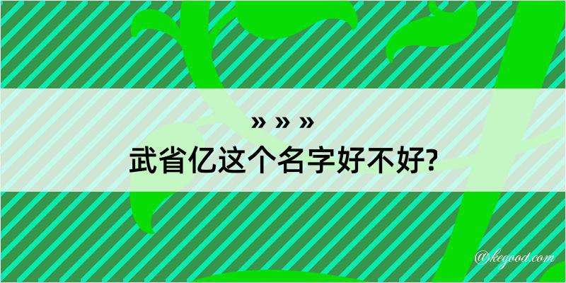 武省亿这个名字好不好?