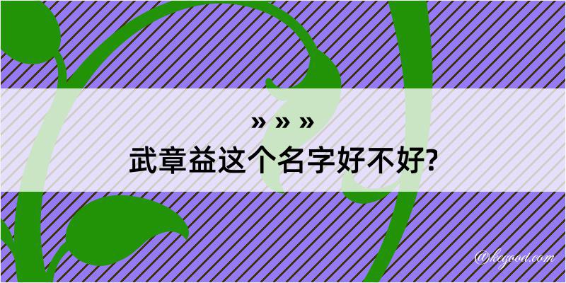 武章益这个名字好不好?