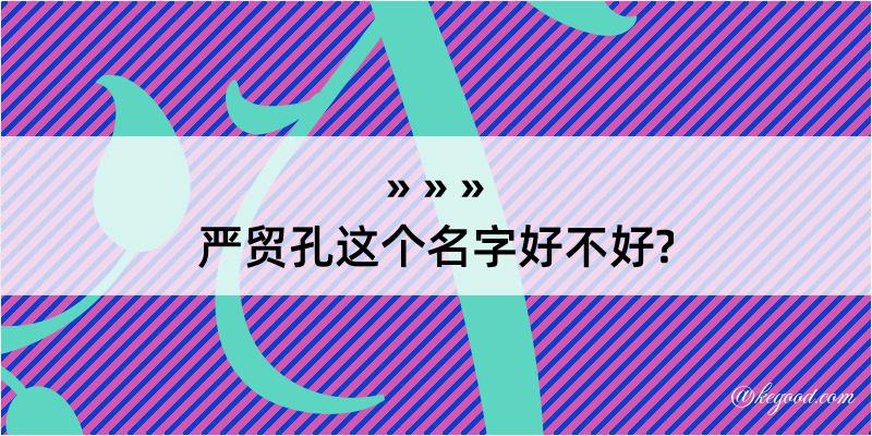 严贸孔这个名字好不好?