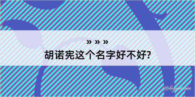 胡诺宪这个名字好不好?