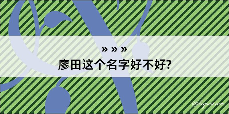 廖田这个名字好不好?