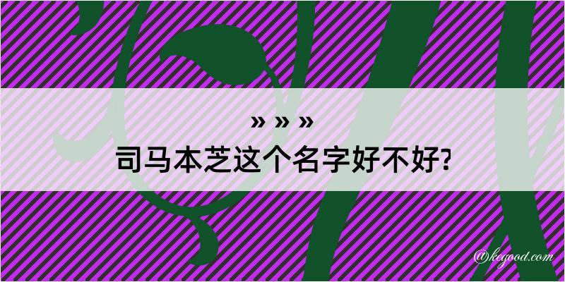 司马本芝这个名字好不好?