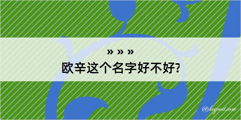 欧辛这个名字好不好?