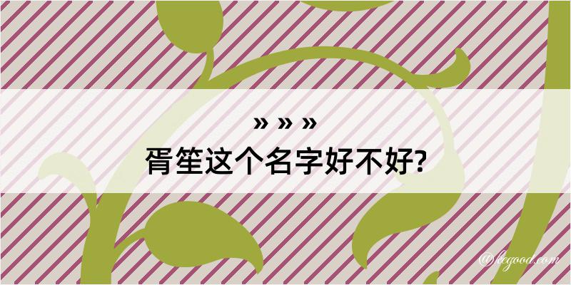 胥笙这个名字好不好?