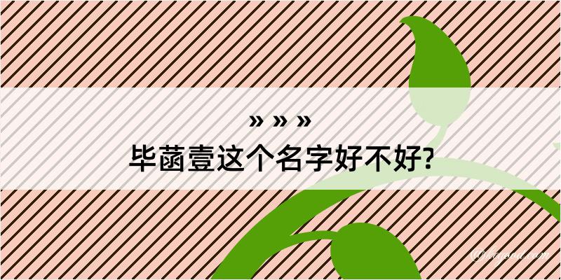 毕菡壹这个名字好不好?