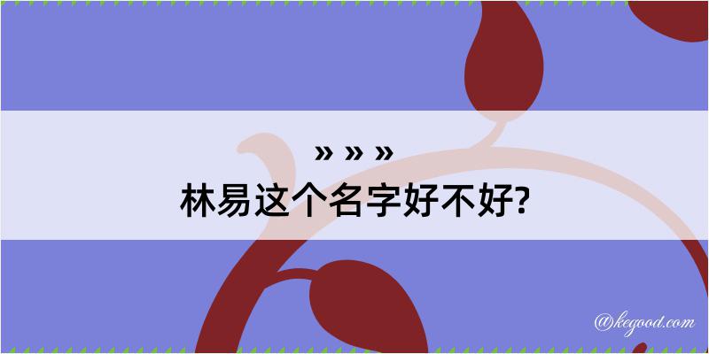 林易这个名字好不好?