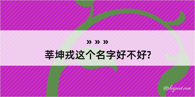 莘坤戎这个名字好不好?