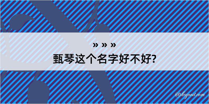 甄琴这个名字好不好?