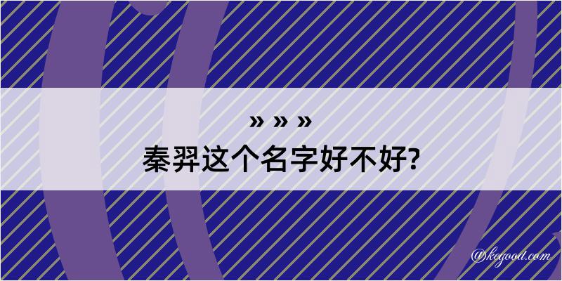 秦羿这个名字好不好?