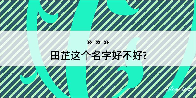 田芷这个名字好不好?