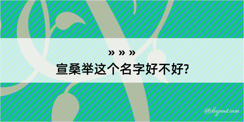 宣桑举这个名字好不好?