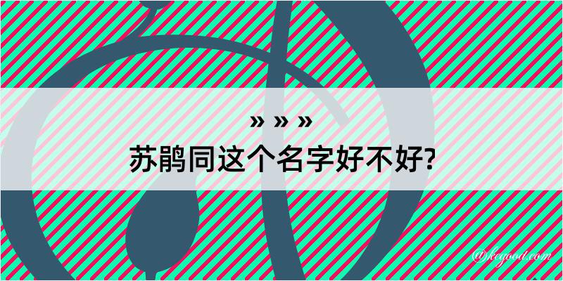 苏鹃同这个名字好不好?