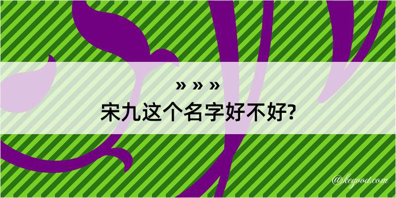 宋九这个名字好不好?