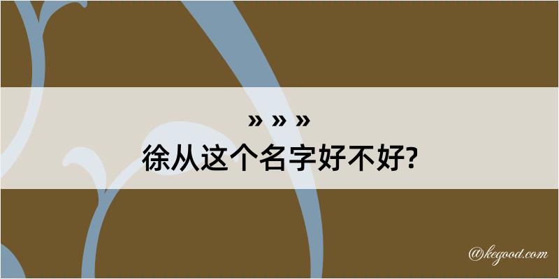 徐从这个名字好不好?