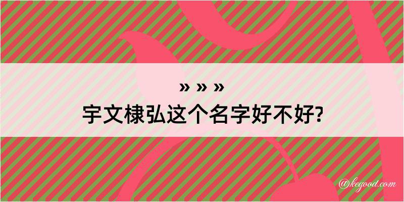 宇文棣弘这个名字好不好?