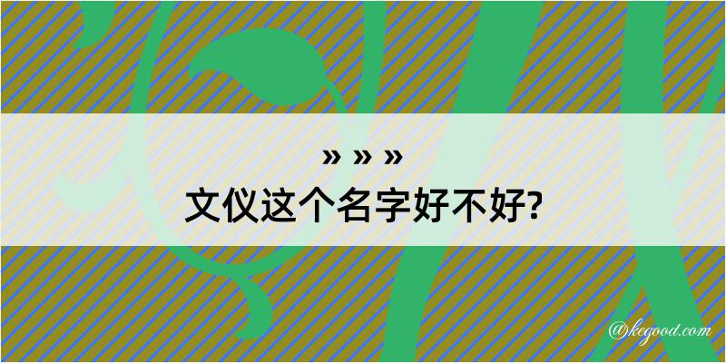 文仪这个名字好不好?