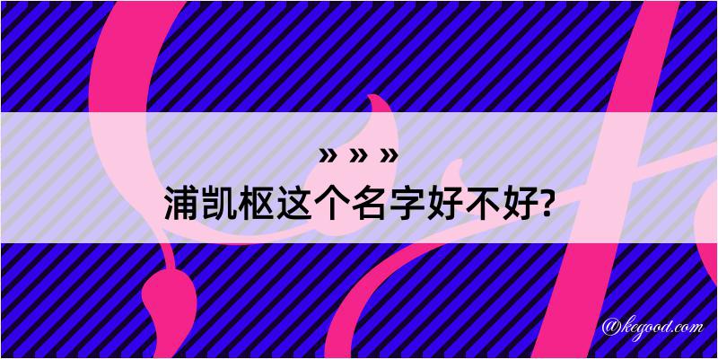 浦凯枢这个名字好不好?